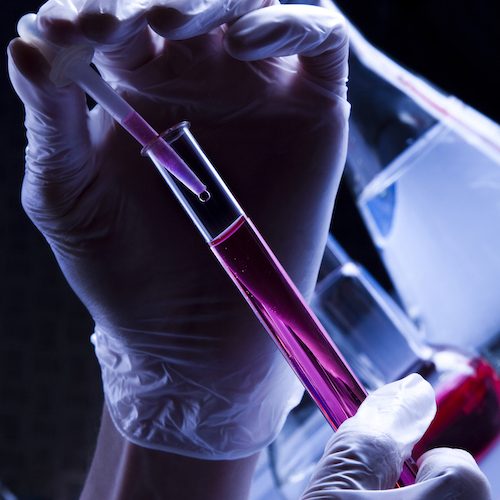 Scientist working in laboratory. Studio shots